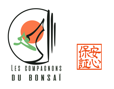 Logo Les Compagnons du Bonsaï avec tampon