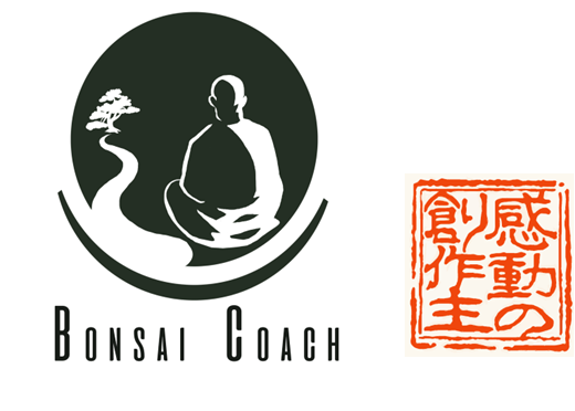 Logo de la Bonsaï Coach Académie