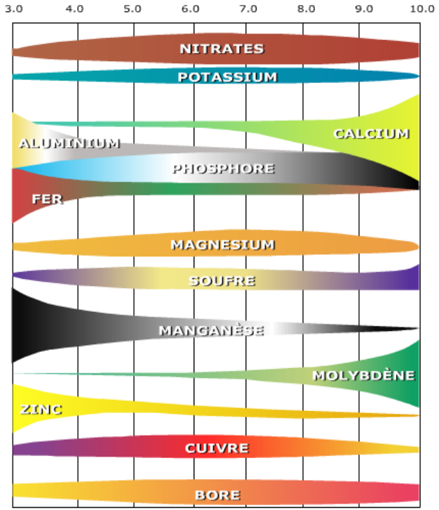 ph3