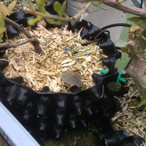 Paille litière de substrat – Image 8
