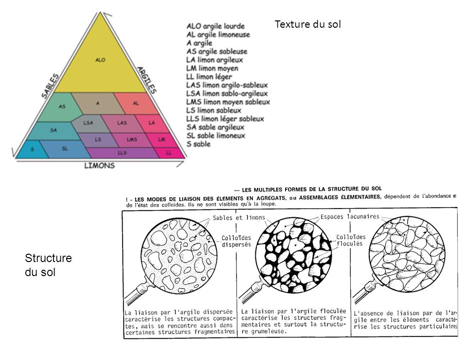 Texture et Structure du Sol