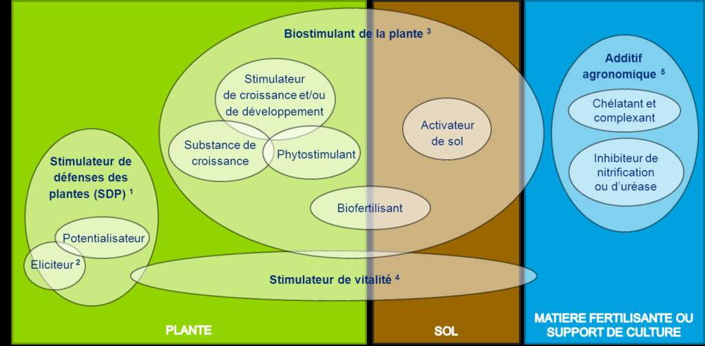 Schéma des actions de biostimulants
