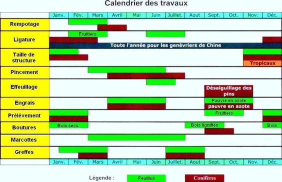 À quel moment rempoter ?