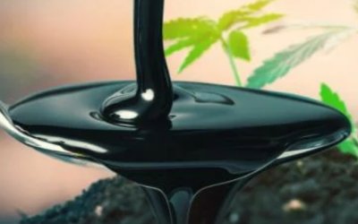 Les substances humiques