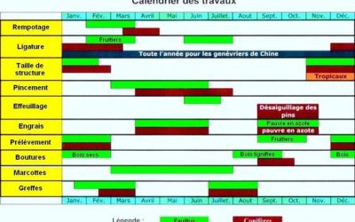 Le rempotage, saison par saison