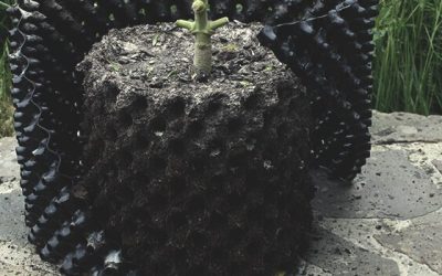 La technologie Airpot adaptée aux pots Roots’Star