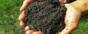 Compost