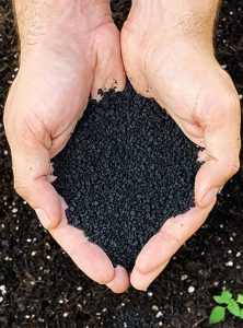 Biochar - Charbon d'origine végétale