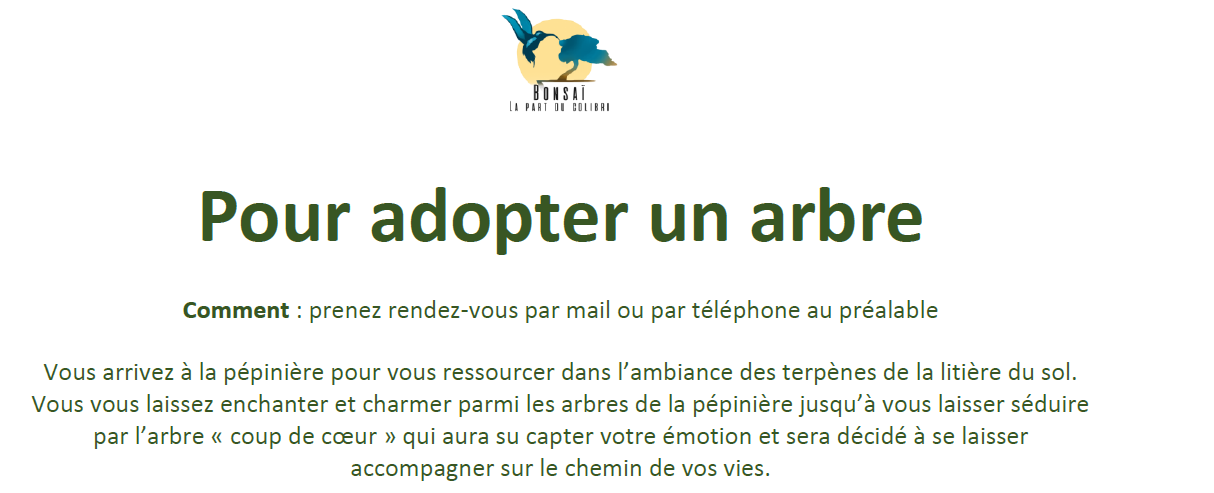 image carte cadea adoption