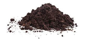 Ecorce de Pin compostée