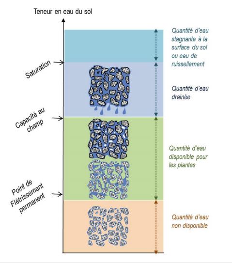 Teneur en eau du sol