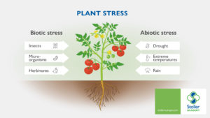 Les stress biotiques et abiotiques des arbres