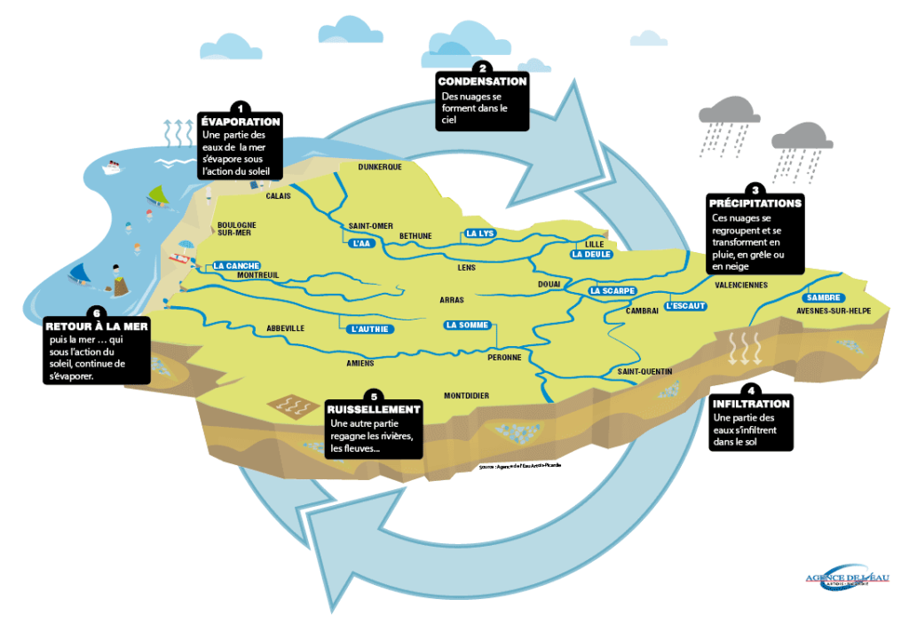 Cycle de l'eau et flux entre les réservoirs