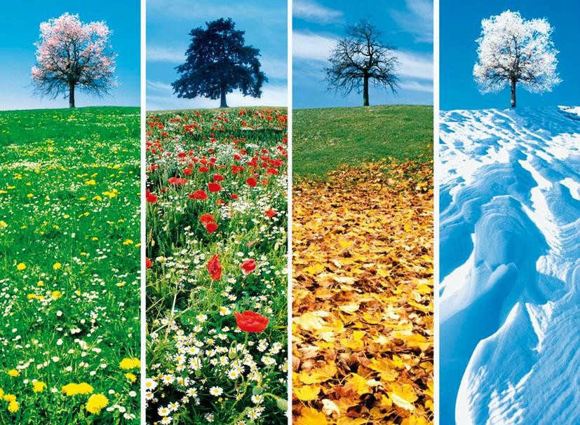 Les Saisons