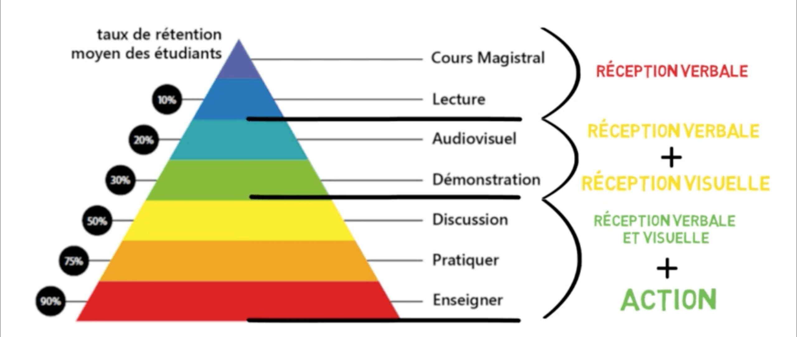 Apprentissage et la transmission des savoirs Les Compagnons du Bonsaï