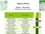 FT - Tableau affinité Espèces - Mycorhizes