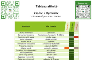 FT - Tableau affinité Espèces - Mycorhizes