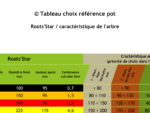 FT - Tableau choisir la bonne dimension du Roots'Star pour son Bonsai