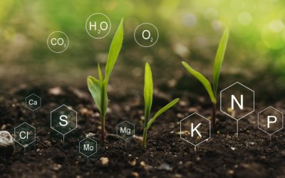 Raisonner la fertilisation