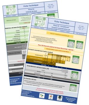 FT - Préparation substrat
